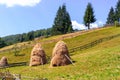 Transylvanian mountains with typical bales on the hillside, Bihar mountains, Carpathian mountains