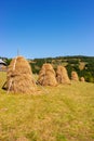 Transylvanian mountains with typical bales on the hillside, Bihar mountains, Carpathian mountains