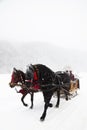 Transylvanian traditional sleigh Royalty Free Stock Photo