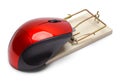 Computer Mouse on Mouse Trap Royalty Free Stock Photo