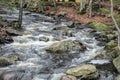 trap falls brook flowing through the forest Royalty Free Stock Photo