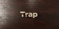 Trap - grungy wooden headline on Maple - 3D rendered royalty free stock image