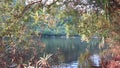 Trapeang Rung river in Koh Kong province, Cambodia