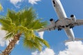 Tropical Palm Tree and Passenger Airplane In Landing Approach Royalty Free Stock Photo