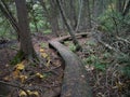 Trapp Farm Nature Preserve. Beulah, Michigan. Royalty Free Stock Photo