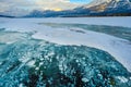 Trapped methane bubbles frozen into the water under the thick cracked and folded ice on Abraham Lake, located in the Kootenay Royalty Free Stock Photo