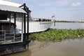 Trapped Water Hyacinth