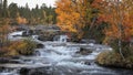 Trappstegsforsen waterfall in autumn along in Lapland in Sweden