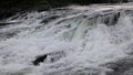 Trappstegsforsen waterfall on the Wilderness Road in Vasterbotten, Sweden