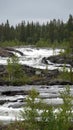 Trappstegsforsen waterfall on the Wilderness Road in Vasterbotten, Sweden