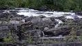 Trappstegsforsen waterfall on the Wilderness Road in Vasterbotten, Sweden