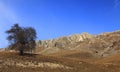 Trascau Mountains,Romania Royalty Free Stock Photo