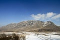 Trascau Mountains in winter Royalty Free Stock Photo