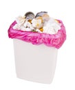 Trash Can Overflowing With Rubbish Isolated Royalty Free Stock Photo