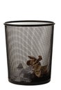 Trash basket Royalty Free Stock Photo