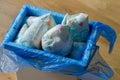 Trash bin full of used diapers Royalty Free Stock Photo