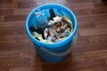 Trash bin with leftover food and chicken bones Royalty Free Stock Photo