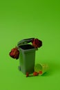 Trash can, dry flowers and a small light green bucket on a green background. Text space. Environmental protection, waste concept. Royalty Free Stock Photo