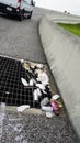 Trash along Highway exit storm drain grate with vehicle passing by