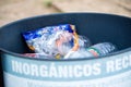 Trash container with plastic waste Royalty Free Stock Photo