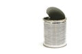 Trash empty can with open lid isolated with copy space