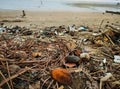 Trash-Infested Beaches: The Devastating Impact of Waste Accumulation on Coastal Sands
