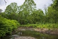 Trash left behind in a creek in South Park, Pennsylvania Royalty Free Stock Photo