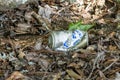 Trash left on the ground in a state park