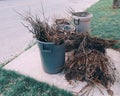 Trash litter bins with cut old dry tree branches. Waste on ground. Care and protection of environment.