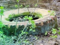 garbage from a heap of black old car tires among the trees in nature. environmental pollution. problems of ecology. old car tires