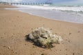 Trash net and litter at the Mediterranean sea beach