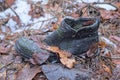 trash from one old black torn leather sneaker stands on brown dry leaves Royalty Free Stock Photo