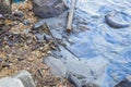 Trash plastic bottles on the beach. oil and water pollution of the ocean