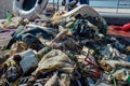 Trash and pollution, plastic waste collected from the sea by cleaning volunteers