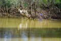 Trash in Tinker Creek Greenway