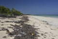 Trash washed up a Camaguey beach, Cuba