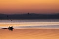 Trasimeno lake at sunset with a man on a little boat Royalty Free Stock Photo