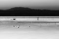 Trasimeno lake at sunset with a man on a little boat Royalty Free Stock Photo