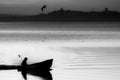 Trasimeno lake at sunset with a man on a little boat and birds flying Royalty Free Stock Photo