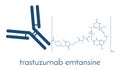 Trastuzumab emtansine antibody-drug conjugate molecule. Used in the treatment of breast cancer. Each antibody is conjugated to 0-8