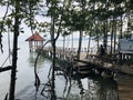 Wooden bridge walkway to sea view pavilion of `Mature mangrove forest and black sand beach` in Trat, Thailand.