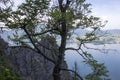 Traunsee lake with Alps seen from hill Kleiner Schonberg. Austria landscape.