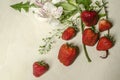 Strawberries and branch of shepherd`s purse with flowers