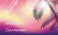 Tropical Resort Vector Background With Palm Tree Silhouette, Sunset Sky, And Text Space. Royalty Free Stock Photo