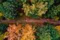 Travel autumn road driver in yellow forest, concept trip by car. Aerial top view Royalty Free Stock Photo