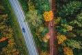 Travel autumn road driver in yellow forest, concept trip by car. Aerial top view Royalty Free Stock Photo