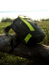 A travel back bag on the dried tree.