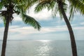 Travel background beautiful sand beach with palm tree and sea. i Royalty Free Stock Photo