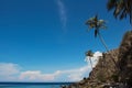 Travel background with palm trees and blue sky. Deep blue sky and palm silhouettes above tropical sea.