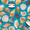 Travel background with sea shells